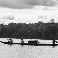 Bilder Nilbio Torres