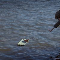 Bilder Nicolaus von der Recke