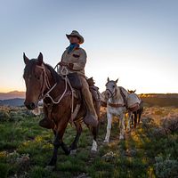 Bilder Jonny Fitzsimons