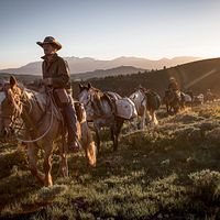 Bilder Thomas Glover