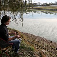 Bilder Keean Johnson