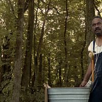 Bilder Glenn Harston