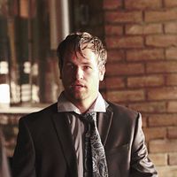 Bilder David Hoffman