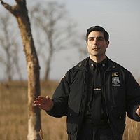 Bilder Louis Cancelmi