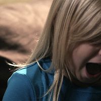 Bilder Taylor Pigeon