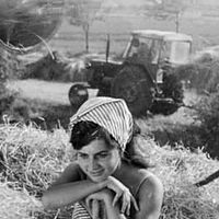 Bilder Olga Salagová