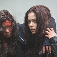 Bilder Sarah Dugdale