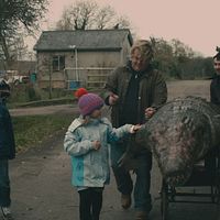 Bilder Jack McMullen