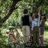 Bilder Olivia Viikant