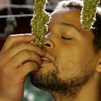 Bilder Tyler Trerise