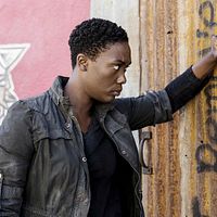 Bilder Carolyn Michelle Smith