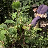 Bilder Tito Alexander Gómez