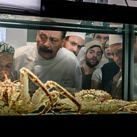 Bilder Dmitriy Nazarov