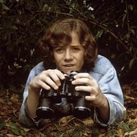 Bilder A. Michael Baldwin