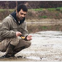 Bilder Reza Akhlaghirad