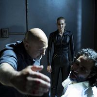 Bilder Daniel Messier