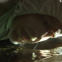 Bilder Tomas Norström