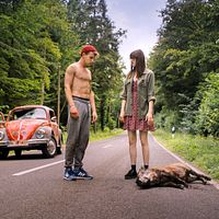 Bilder Johanna Polley