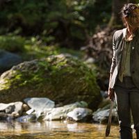 Bilder Brigitte Poupart