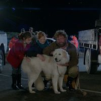 Bilder Shane Jacobsen