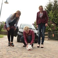 Bilder Astrid 'Ann' Marie Pollmann