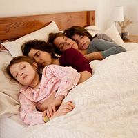 Bilder Emilia Ossandon