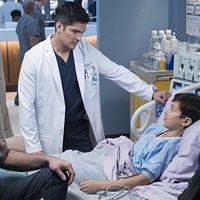 Bilder Pasha Ebrahimi