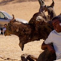 Bilder Anthony Kirlew