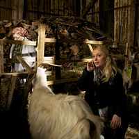 Bilder Giulia Nahmany