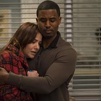 Bilder Gavin Houston