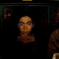 Bilder Sofia Palomino