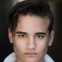 Bilder Will E. McDonald