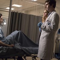 Bilder Amitai Marmorstein