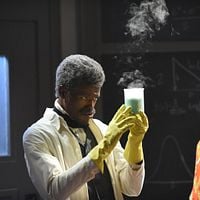 Bilder  D.C. Young Fly