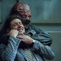 Bilder Barry Nerling