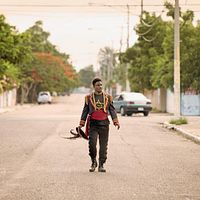 Bilder Marchant Davis