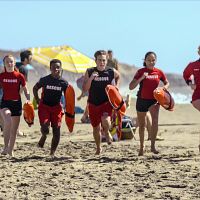 Bilder Abby Donnelly