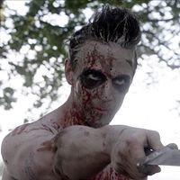 Bilder Darrell Griggs