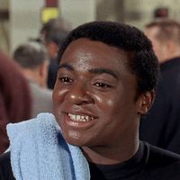 Bilder D'Urville Martin