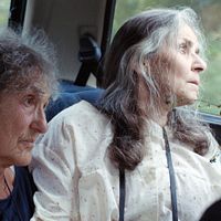 Bilder Monika Zimmering