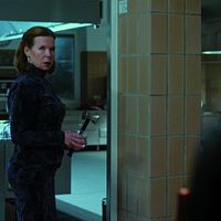 Bilder Marion Kracht