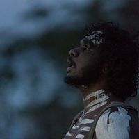 Bilder Baykali Ganambarr