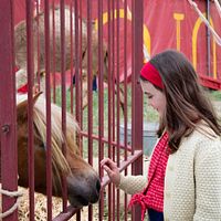 Bilder Elisa de Lambert