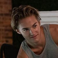 Bilder Mitchell Hoog