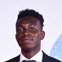 Bilder Olly Sholotan