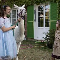 Bilder Rose de Kervenoaël