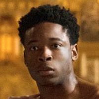 Bilder Dimitri Abold