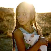 Bilder Elvira de Armiñán