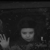 Bilder Dmitriy Kobetskoy