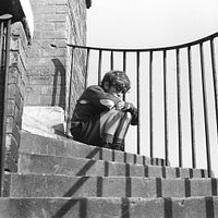 Bilder Stephen Archibald